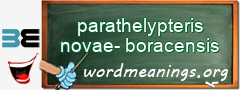 WordMeaning blackboard for parathelypteris novae-boracensis